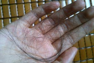 �ѷ���������ɵ�Σ��