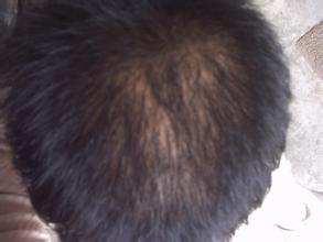 �����ѷ����������ôԤ��