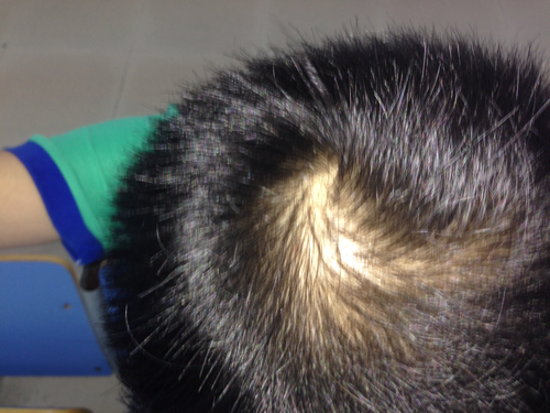 �ѷ�������������Щ��